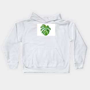 Bright green monstera leaf on white background closeup Kids Hoodie